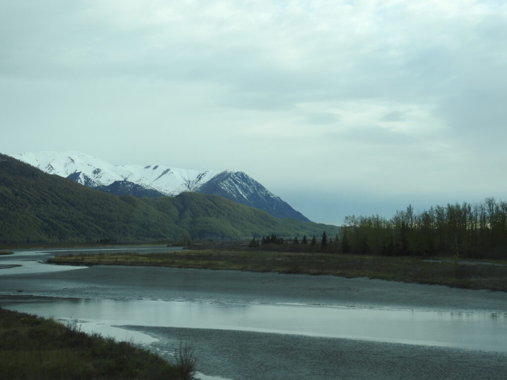 My Alaska Life